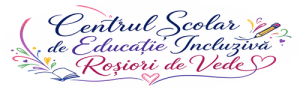 CSEI Roșiorii de Vede