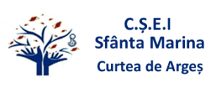 CSEI Curtea de Argeș